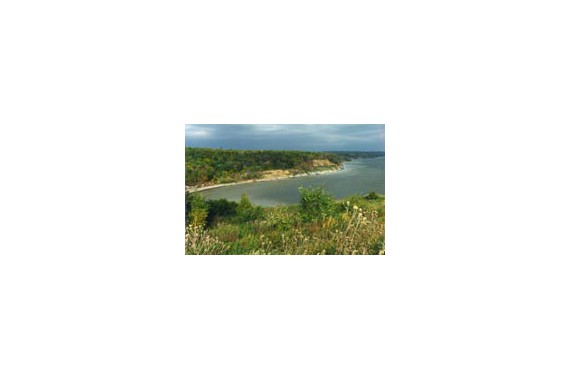 Фотография Палеонтологический музей 0