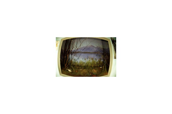 Фотография Краеведческий музей 2