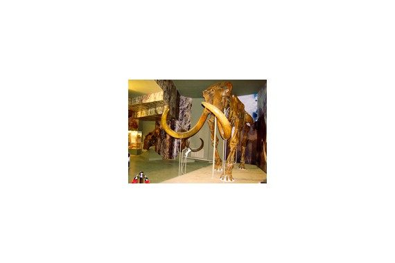 Фотография Азовский музей-заповедник 7