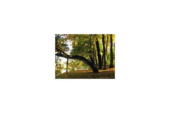 Фотография Музей-заповедник А.С.Пушкина «Михайловское» 7