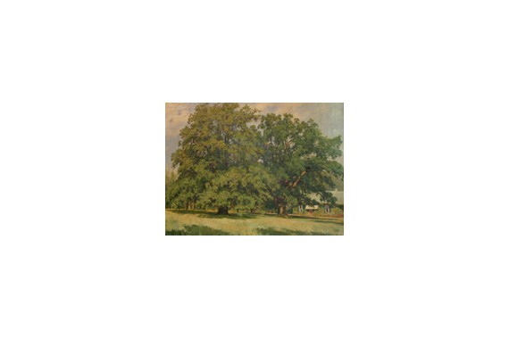 Фотография Русский музей 5