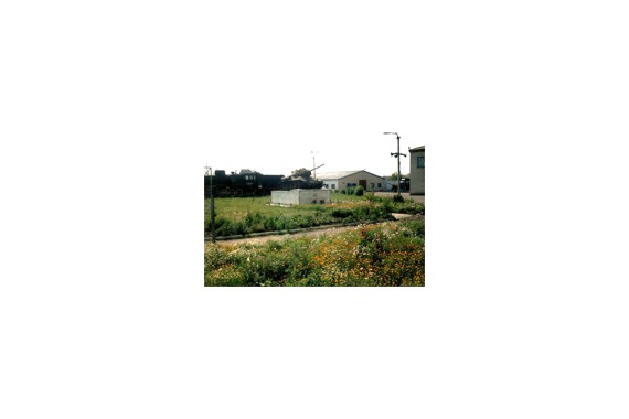 Фотография Краеведческий музей 4