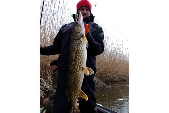 Фотография Плавучая гостиница «Андромеда» 5