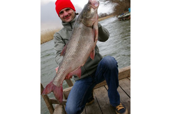 Фотография Плавучая гостиница «Андромеда» 6