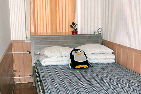 Фотография Гостиница «3 Пингвина» 0