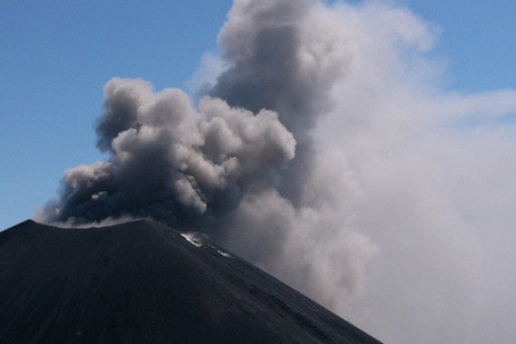 Фотография Природный парк «Вулканы Камчатки» 7