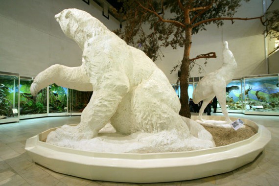 Фотография Дарвиновский музей 1