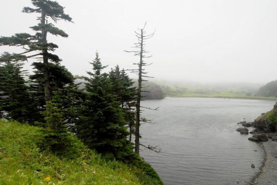 Фотография Заказник «Малые Курилы» 5