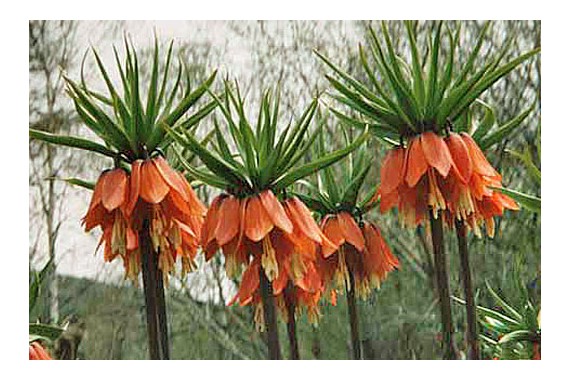 Фотография Заповедник «Поронайский» 2