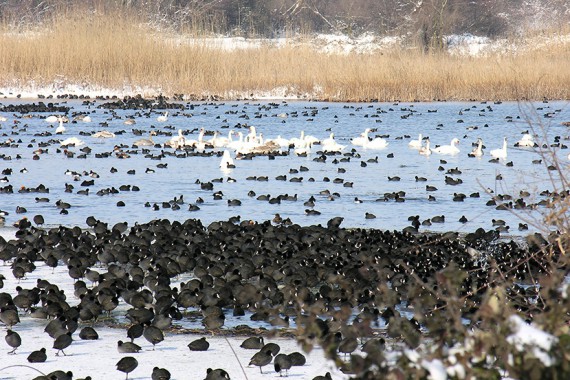 Фотография Заказник «Самурский» 3