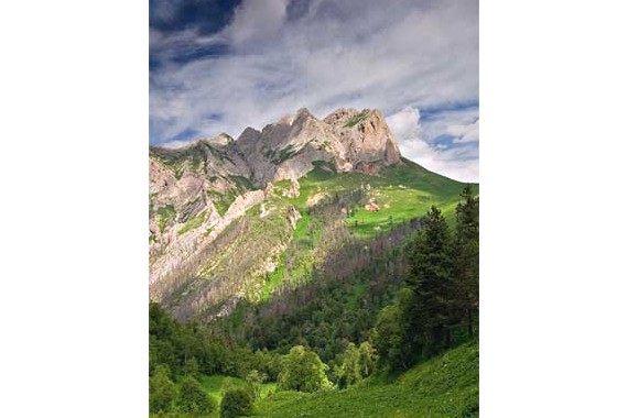 Фотография Кавказский заповедник 1