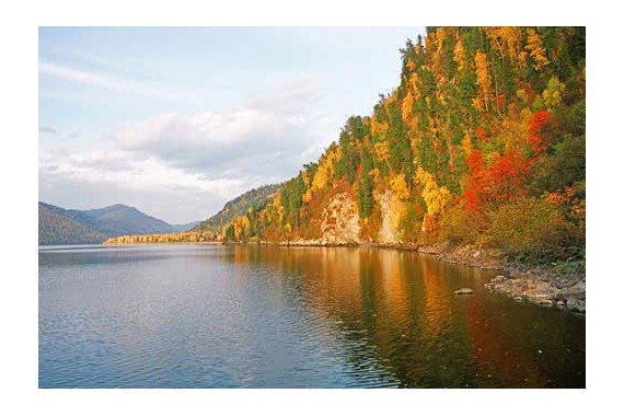 Фотография Алтайский заповедник 3