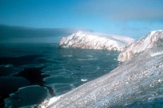 Фотография Остров Врангеля 2