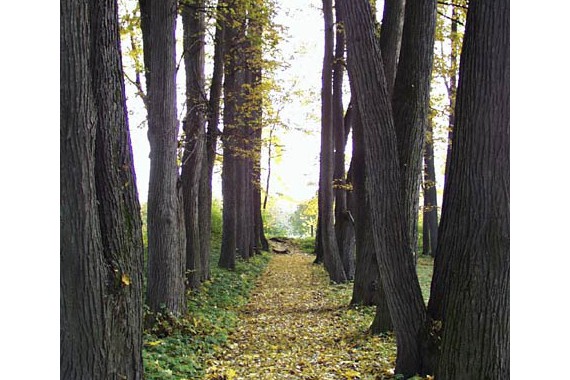 Фотография Музей-усадьба Л.Н.Толстого «Ясная Поляна» 1