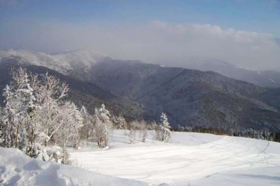 Фотография СТК «Горный воздух» 6