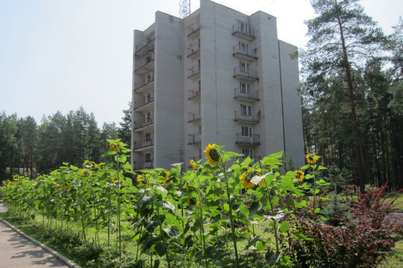 Фотография Санаторий «Русский лес» 3