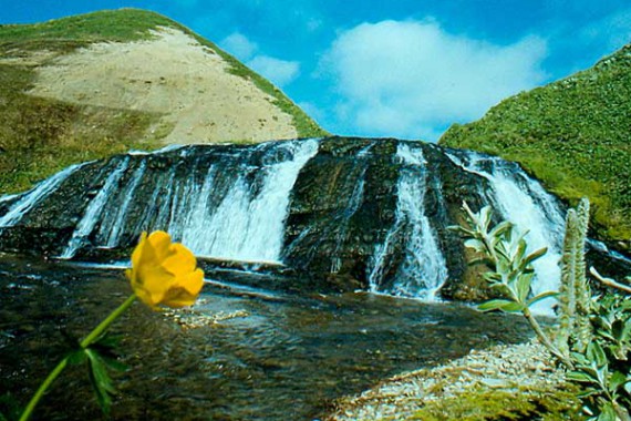 Фотография Заповедник «Командорский» 8