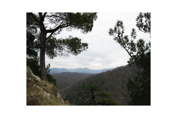 Фотография Национальный парк «Сочинский» 0