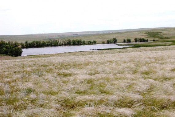 Фотография Заповедник «Оренбургский» 0