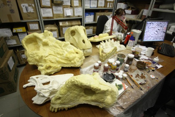 Фотография Вятский палеонтологический музей 4