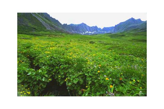 Фотография Заказник Кабанский 2