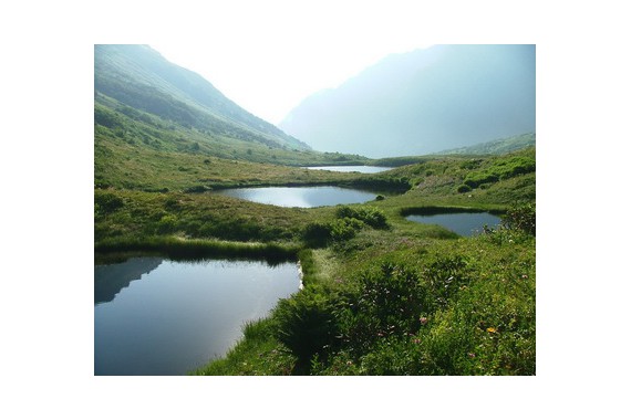 Фотография Национальный парк «Сочинский» 1