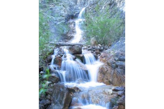 Фотография Заповедник «Баргузинский» 0