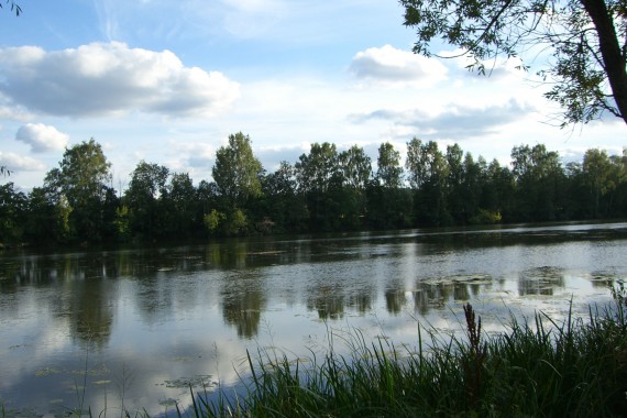 Фотография Усадьба «Архангельское» 1