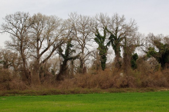 Фотография Заказник «Самурский» 2