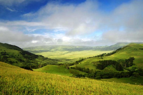 Фотография Заказник «Малые Курилы» 0