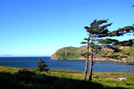 Фотография Заказник «Малые Курилы» 6