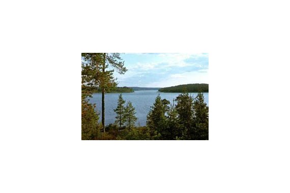 Фотография Кенозерский национальный парк 1