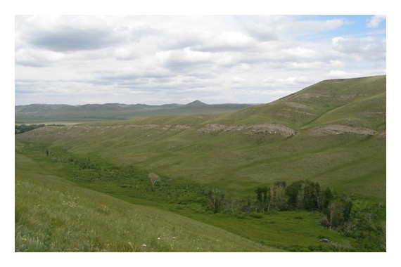 Фотография Заповедник «Оренбургский» 7