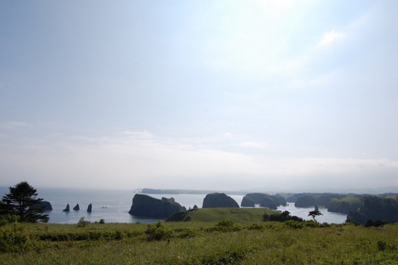 Фотография Заказник «Малые Курилы» 7