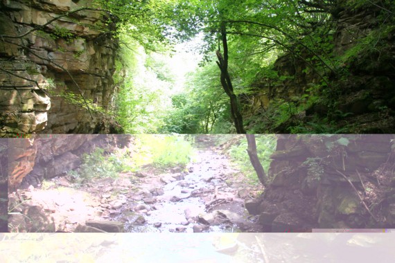 Фотография Заказник «Самурский» 0