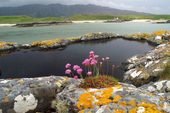 Фотография Вулканы Камчатки 9