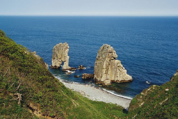 Фотография Сихотэ-Алинский заповедник 1