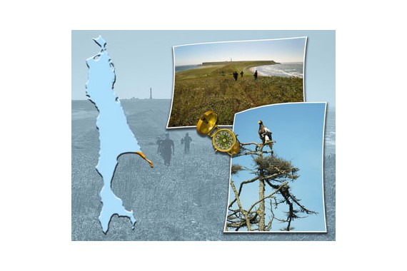 Фотография Заповедник «Поронайский» 1