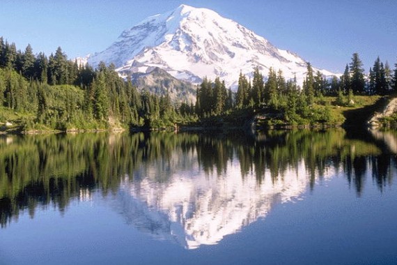 Фотография Алтайский заповедник 0