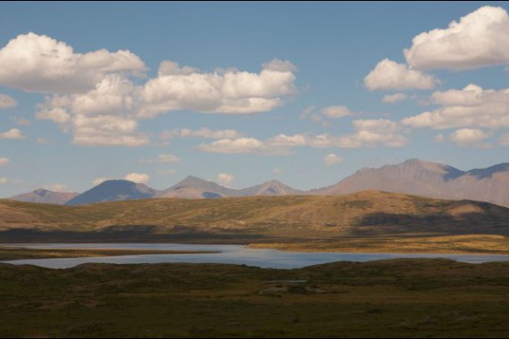 Фотография Убсунурская котловина 1