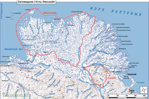 Фотография Усть-Ленский заповедник 8