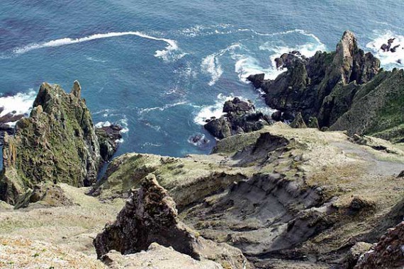 Фотография Заповедник «Командорский» 1