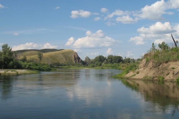 Фотография Заповедник «Оренбургский» 8