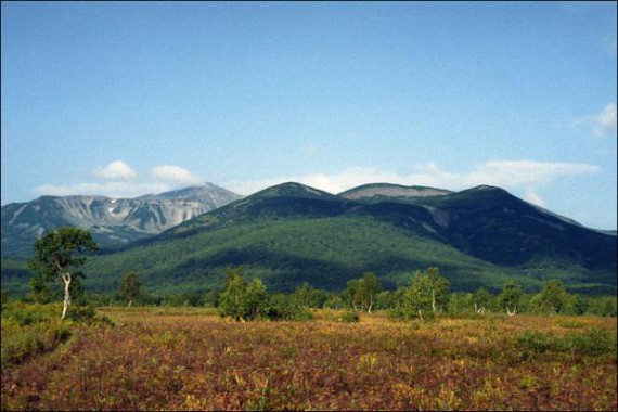 Фотография Природный парк «Налычево» 6