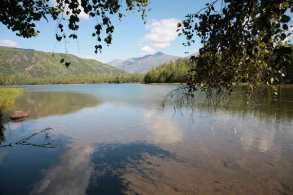 Фотография Заказник «Фролихинский» 0