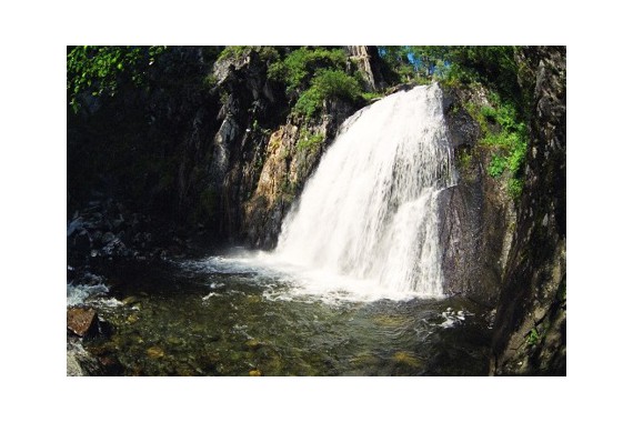 Фотография Алтайский заповедник 1