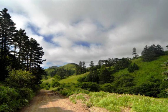 Фотография Заказник «Малые Курилы» 3