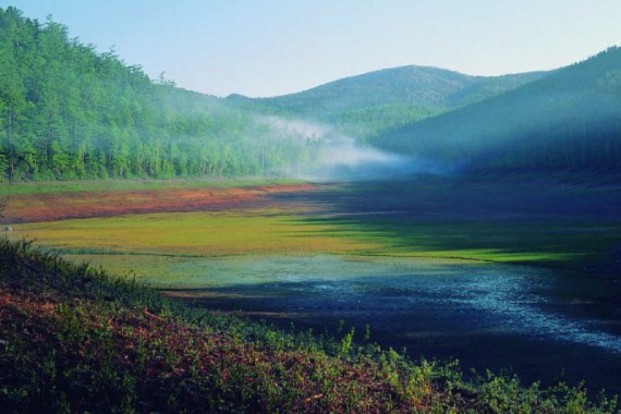 Фотография Сихотэ-Алинский заповедник 3