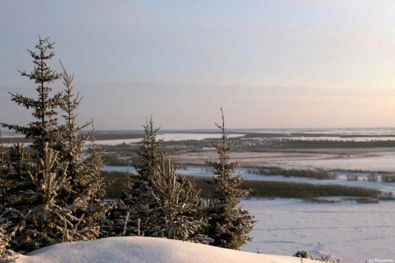 Фотография Природный парк Самаровский Чугас 1