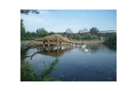 Фотография Зоопарк 0